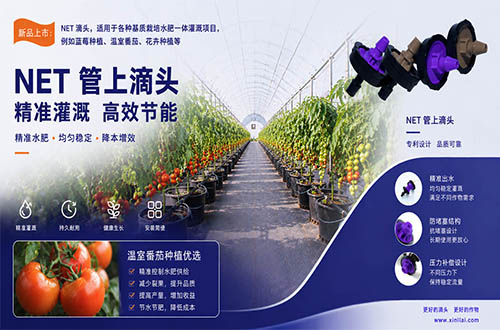 深耕基质栽培赛道，专用滴灌设备成设施农业提质增收关键